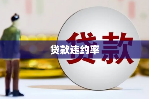 芝罘贷款违约率