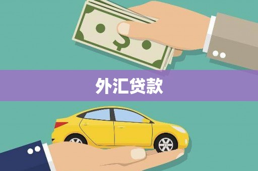 芝罘外汇贷款