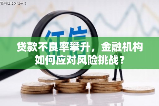 芝罘贷款不良率攀升，金融机构如何应对风险挑战？