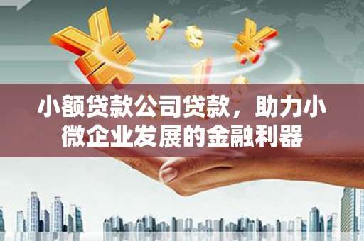 芝罘小额贷款公司贷款，助力小微企业发展的金融利器