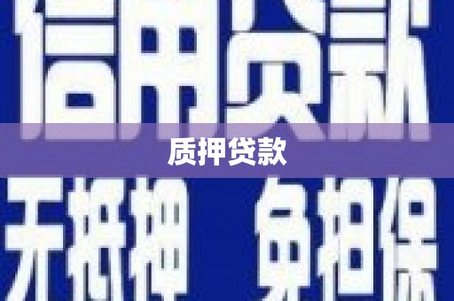 芝罘质押贷款