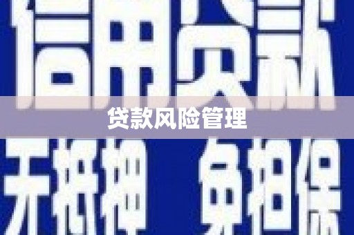 芝罘贷款风险管理