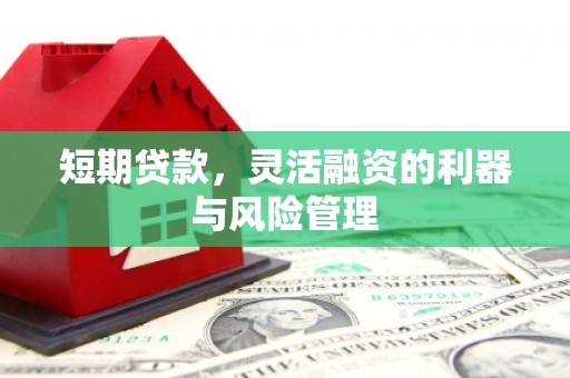 芝罘短期贷款，灵活融资的利器与风险管理