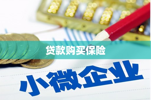 芝罘贷款购买保险