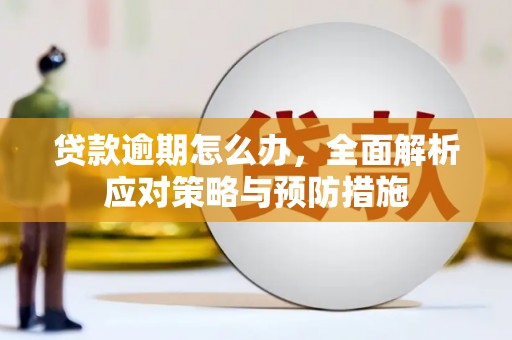 芝罘贷款逾期怎么办，全面解析应对策略与预防措施