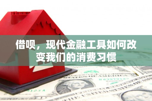 芝罘借呗，现代金融工具如何改变我们的消费习惯