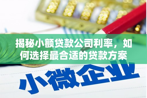 芝罘揭秘小额贷款公司利率，如何选择最合适的贷款方案