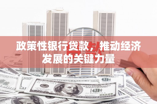 芝罘政策性银行贷款，推动经济发展的关键力量