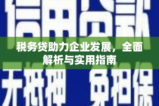 芝罘税务贷助力企业发展，全面解析与实用指南