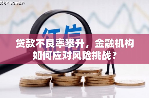 芝罘贷款不良率攀升，金融机构如何应对风险挑战？