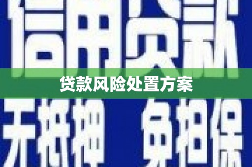 芝罘贷款风险处置方案