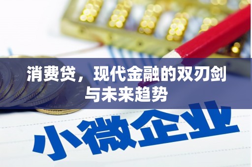 芝罘消费贷，现代金融的双刃剑与未来趋势